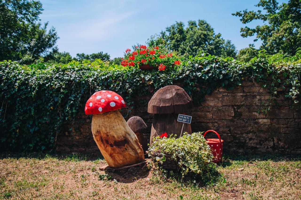 Žminj Casa Karnevaliヴィラ エクステリア 写真
